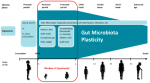 microbiota intestinale